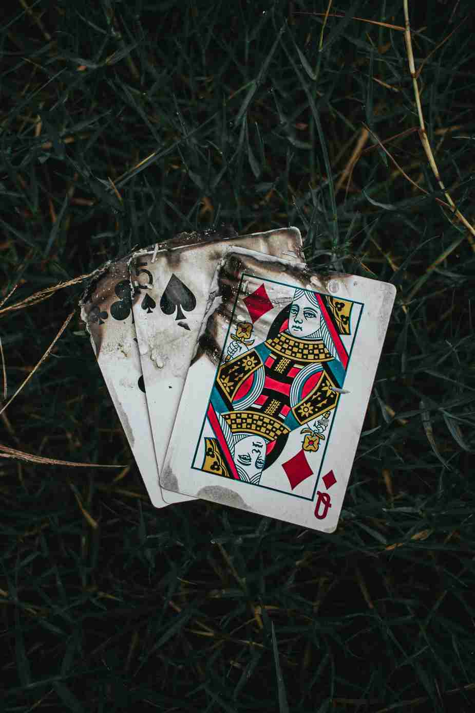 Wisho casino